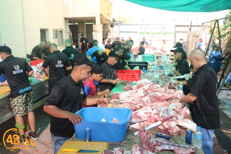 lod8om ada73y (1).JPG